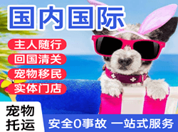 抚远东极机场物流国际宠物托运 【国